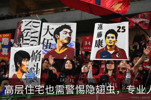 高层住宅也需警惕隐翅虫，专业人士教你如何防护与处理