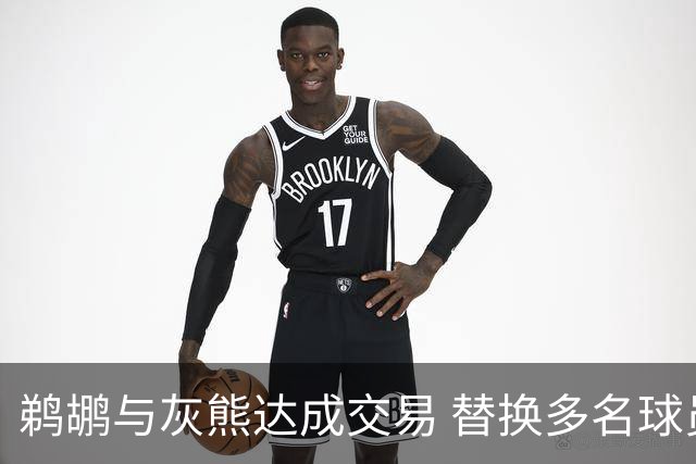 鹈鹕与灰熊达成交易 替换多名球员
